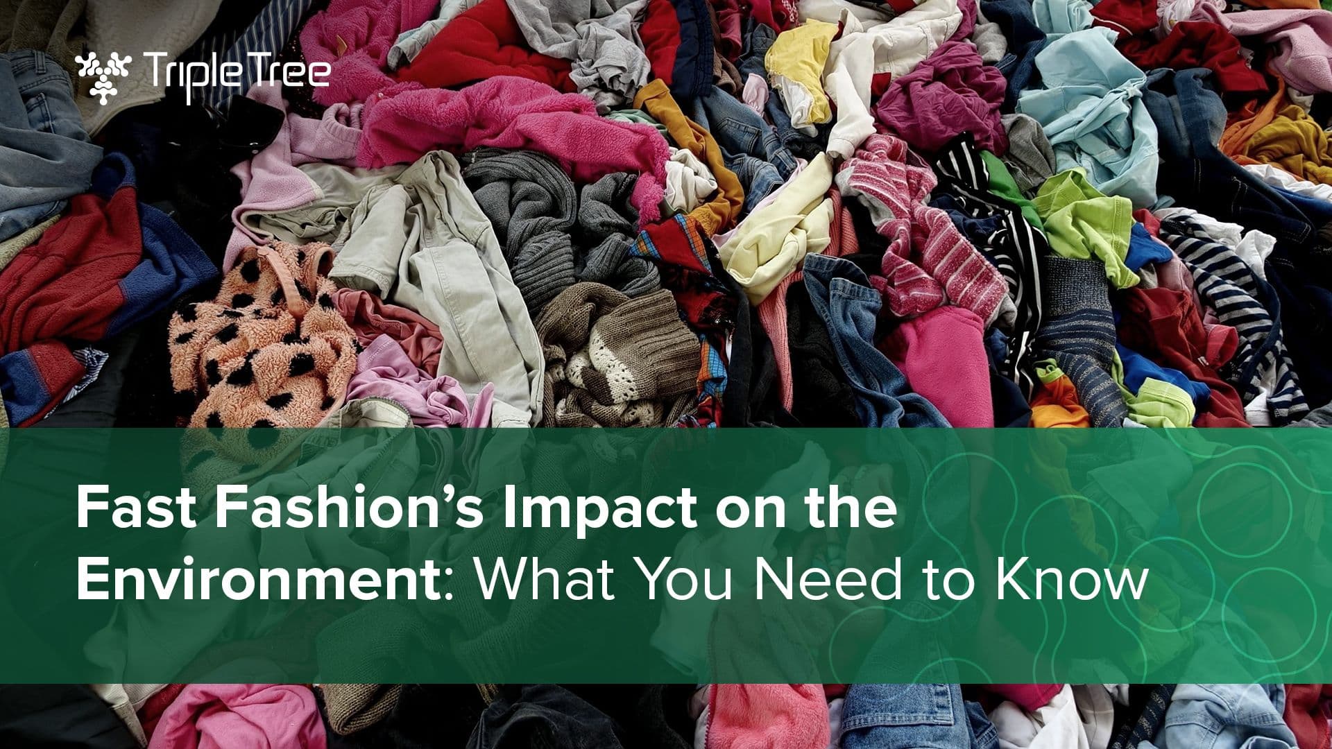 Fast Fashion’s Impact on the Environment