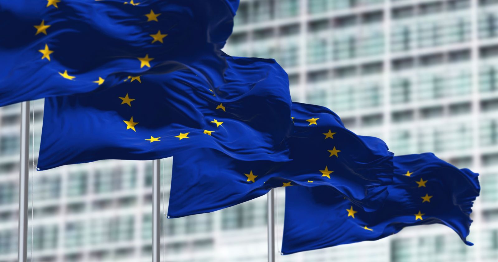 Corporate Sustainability Due Diligence Directive